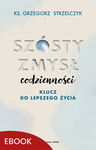 (epub, mobi) Szósty zmysł codzienności Klucz do lepszego życia