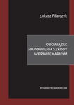 (pdf) Obowiązek naprawienia szkody w prawie karnym