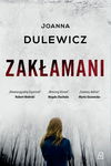 (epub, mobi) Zakłamani