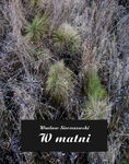 (epub, mobi) W matni