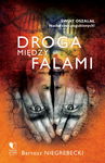 (epub, mobi) Droga między falami