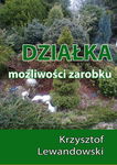 (epub, pdf) Działka. Możliwości zarobku