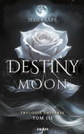 (epub, mobi) Destiny Moon