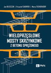 (epub, mobi, pdf) Wieloprzęsłowe mosty skrzynkowe z betonu sprężonego