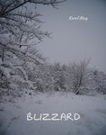 (epub, mobi) Blizzard