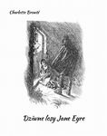 (epub, mobi) Dziwne losy Jane Eyre