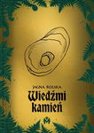 (epub, mobi) Wiedźmi kamień