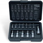 CCLIFE Zestaw Bitów Torx T8-T60 13 szt. - Stal Stopowa S2
