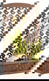 Donica kratowa MCombo