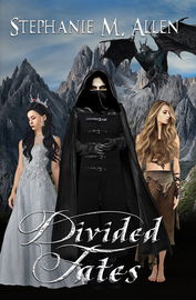 Książka Divided Fates - Stephanie M. Allen