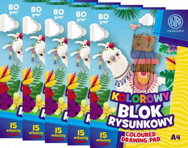 BLOK RYSUNKOWY KOLOROWY A4 Astra 15 KARTEK INTENSYWNE KOLORY x 5 szt