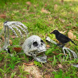 Czaszka dekoracyjna Halloween plastikowa