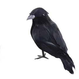 Sztuczne wróne Halloween 6 sztuk kolor Crow A 1 szt.-Crow B