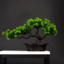 Sztuczne drzewo bonsai Tanhai Pine 22x36