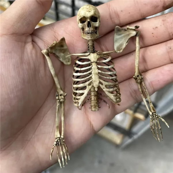 Mini szkielet jaszczurka dekoracja Halloween – half