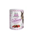 Przysmak dla kota BRIT CARE KOT SNACK 100g SALMON