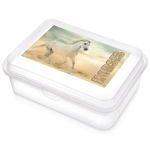 Pojemnik Śniadaniowy Lunchbox Śniadaniówka Pudełko Szkolne na Śniadanie