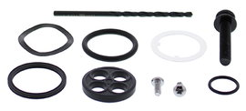 Zestaw naprawczy kranika Honda TRX250X, TRX300 EX ALL BALLS | 60-1208