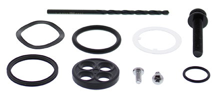 Zestaw naprawczy kranika Honda TRX250X, TRX300 EX ALL BALLS | 60-1208