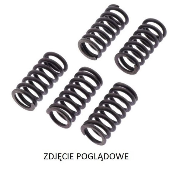 Sprężyny sprzęgłowe Kawasaki ZZR 1400 TRW | MEF333-6