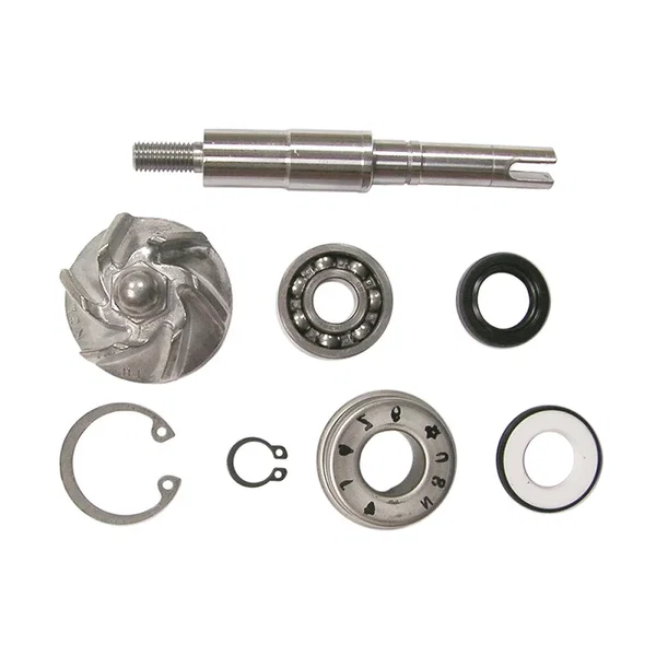 Zestaw naprawczy pompy wody Honda FES 125 Pantheon, SES 125 Dylan, SH 125 Scoopy