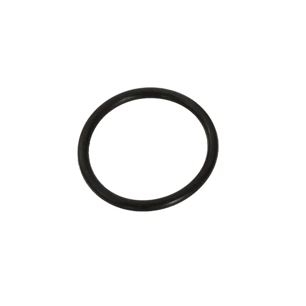 O-ring termostatu  VOGE