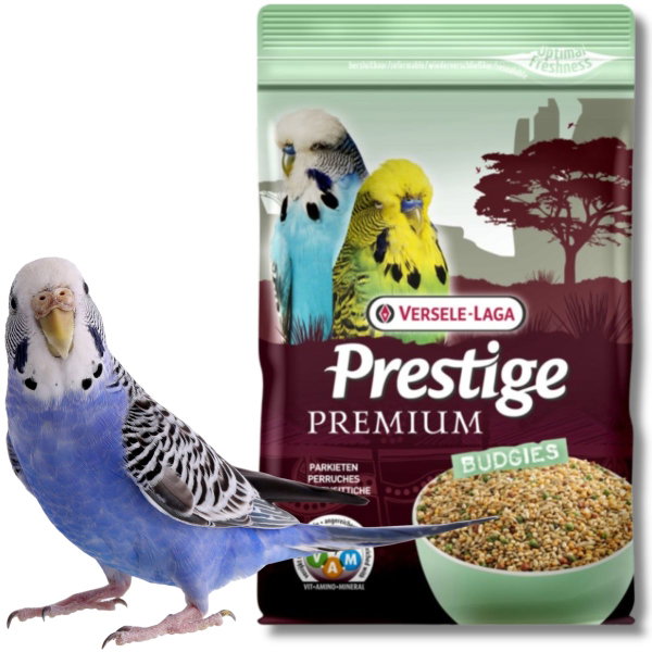 Karma dla papużek falistych Versele-Laga Budgies Premium 800g