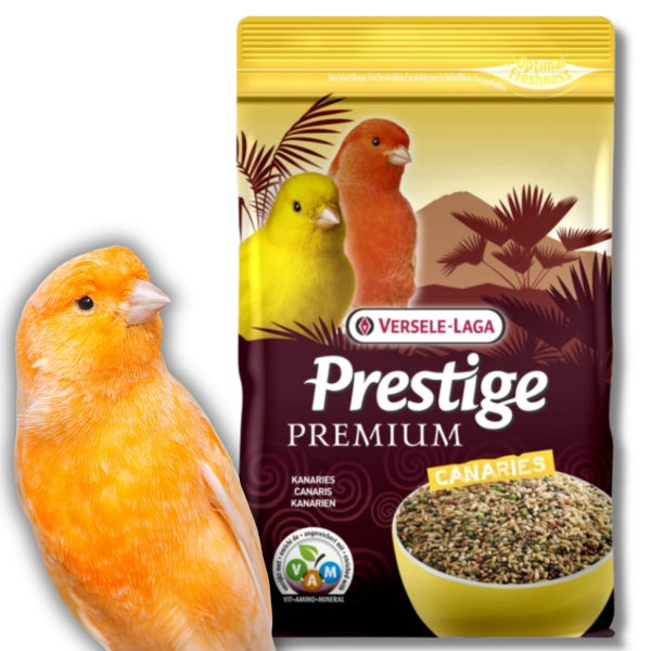 Karma dla kanarka Versele-Laga Canaries Premium 800g