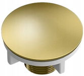 QUADRON ZAŚLEPKA POD BATERIĘ DOZOWNIK PVD ZŁOTY 44MM