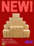 Mini FLOR-BOX Mix MEGA PROMOCJA 4 W CENIE 3