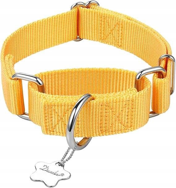 Obroża dla psa nylonowe regulowana 36-53 cm kolor jasnożółte