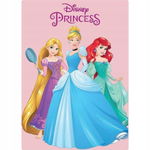 KOCYK KSIĘŻNICZKI DISNEY 100 X 140