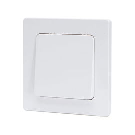 Łącznik pojedynczy dwubiegunowy typu francuskiego biały