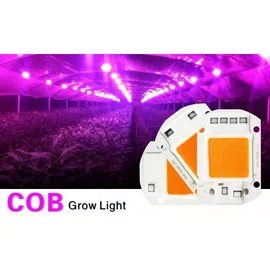 Dioda moduł COB 20w grow zasilanie 230V + pasta termo-przewodząca