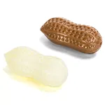 Zabawka dla psa orzeszek ziemny gryzak pomaga czyścić zęby zwierzęcia