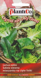 NASIONA Sałata Na Cięte Listki Mieszanka Sałat 1g PLANTICO 404939