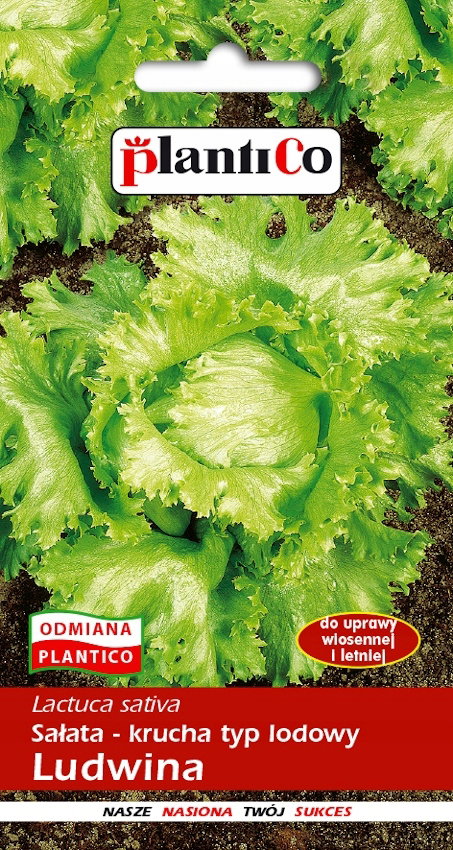 NASIONA Sałata Lodowa Głowiasta Krucha Ludwina 1g PLANTICO 404410