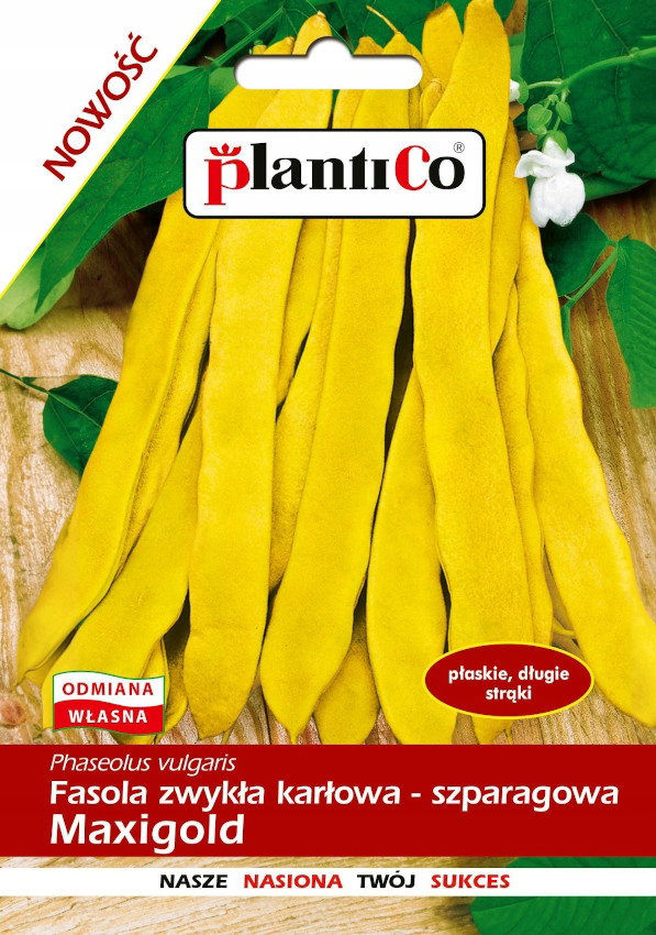 NASIONA Fasola Szparagowa Karłowa Maxigold 30g PLANTICO Żółta 407787