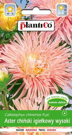 NASIONA Kwiatów Aster Chiński Igiełkowy Łososiowy Ewa 1g Kwiaty 410459