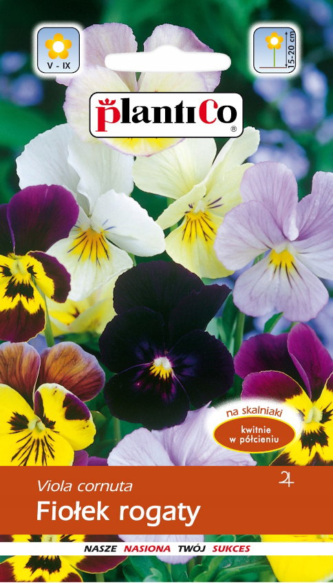 NASIONA Kwiatów Fiołek Rogaty Mieszanka MIX 0,3g Kwiaty Fiołki 423008