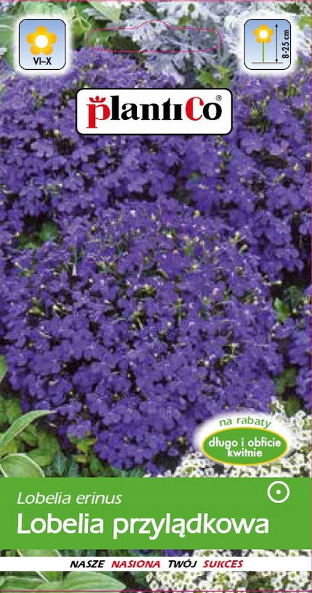 NASIONA Kwiatów Lobelia Stroiczka FIOLETOWA 0,3g Kwiaty Lobelie 411906