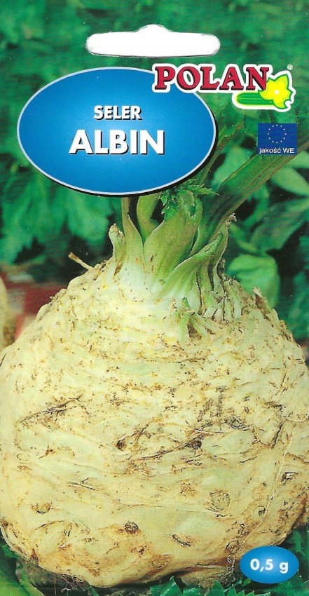 NASIONA Seler Korzeniowy Albin Plenny 0,5g POLAN Selera 090322