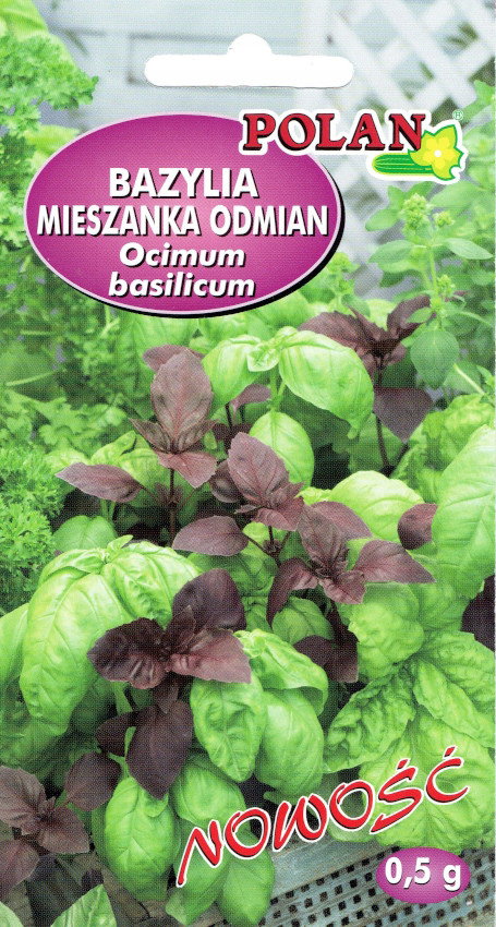 NASIONA Bazylia Pospolita Mieszanka Odmian Mix Gatunków 0,5g POLAN 113830
