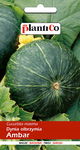 NASIONA Dynia Olbrzymia Ambar 5g PLANTICO 401624