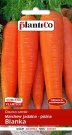 NASIONA Marchew Jadalna Blanka 5g PLANTICO 403260