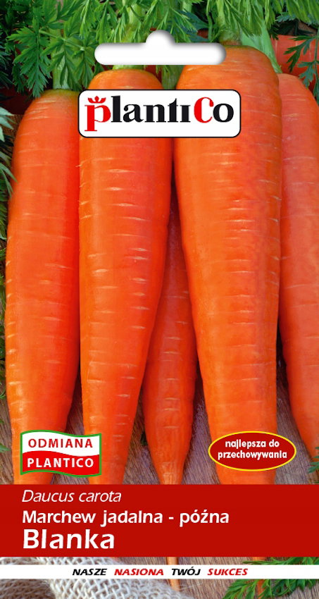 NASIONA Marchew Jadalna Blanka 5g PLANTICO 403260