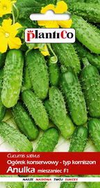 NASIONA Ogórek Gruntowy Anulka Konserwowy 3g PLANTICO 401488