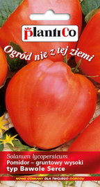 NASIONA Pomidor Gruntowy Wysoki Bawole Serce 0,2g PLANTICO 405660