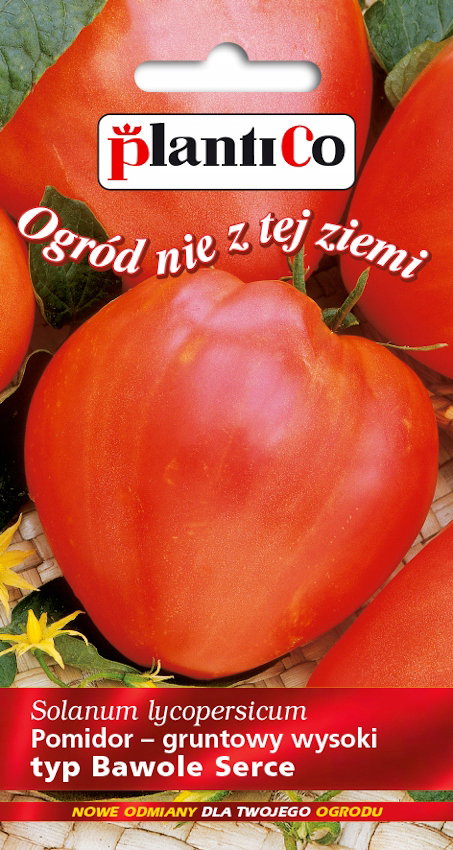 NASIONA Pomidor Gruntowy Wysoki Bawole Serce 0,2g PLANTICO 405660