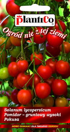 NASIONA Pomidor Gruntowy Wysoki Pokusa 0,5g PLANTICO 405257